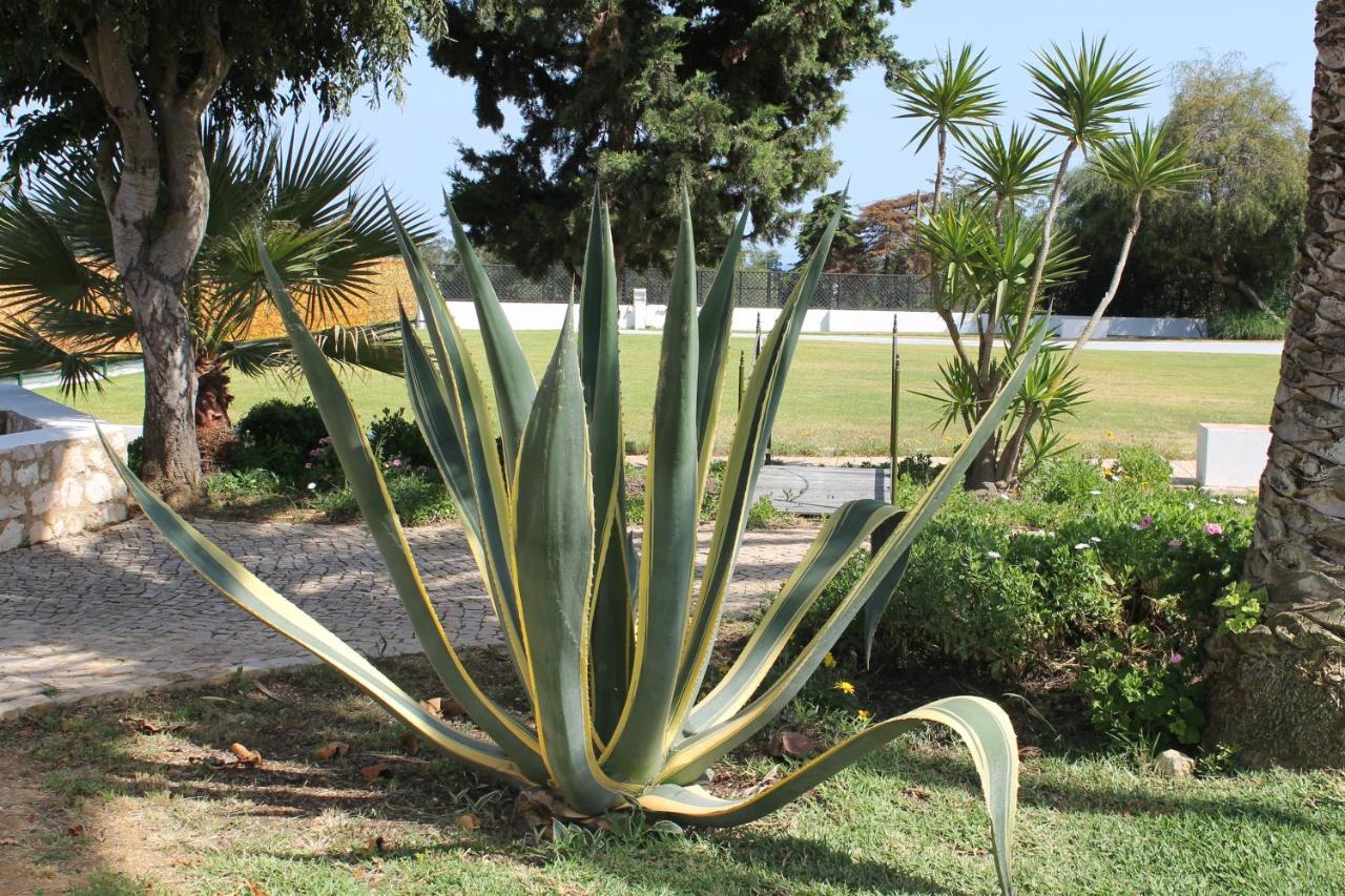 شقة Casa Beachcomber Le Jardin Des Arts لاغوس المظهر الخارجي الصورة